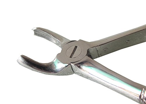 ADDLER DENTAL FORCEP UPPER MOLARS RIGHT NO-17. LIFE TIME ANTI RUSTING WARRANTY. (B06XKP9BZK) Amazon Price History, Amazon Price Tracker