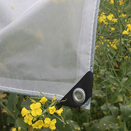 Lona transparente anticorriente para balcones secos y suculentas protegidas 4