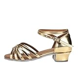 ZIHDKE Zapatos de Baile for Mujeres señoras salón Latino niños/niños Tango Salsa Zapatos Entrenamiento tacón bajo para Women(Gold01,36 (23cm))