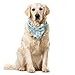 ABAKUHAUS Reine des Abeilles Foulard pour Animaux de Compagnie, Miel Lovers et Couronnes, 40x40 cm, Bleu pâle et Multicolore