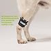 Nature Pet Hund Gewichtsmanschette & Therapiebandage – Muskelaufbau, Reha & Physiotherapie für Hunde | Wasserfest, verstellbar & für Unterwasserlaufband geeignet (XL)