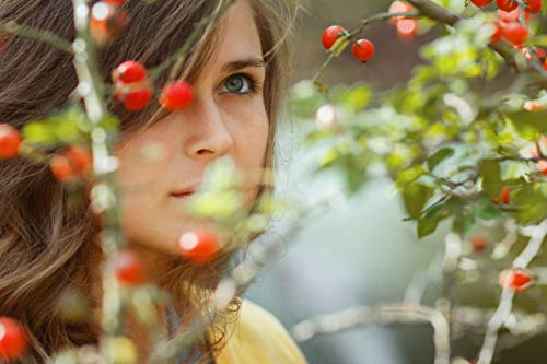 Olivia Care Rosehip Seed Oil Serum Natural Moisturizer For Face, Body & Skin With Vitamins E, C, A & Omega 6, Perfect For Treating Wrinkles, Acne Scars, Sun Spots, Dark Circles & Anti-Aging - 1 Oz #TOP1