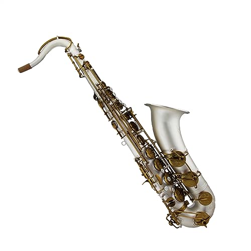 41yuIUTiuNL.jpg