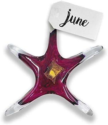 Luke Adams Glass Starfish Wall Decor – Handmade Glass Starfish for Windows or Wall – Sea Shell Wall Decoration for Coastal Homes (July) image 5