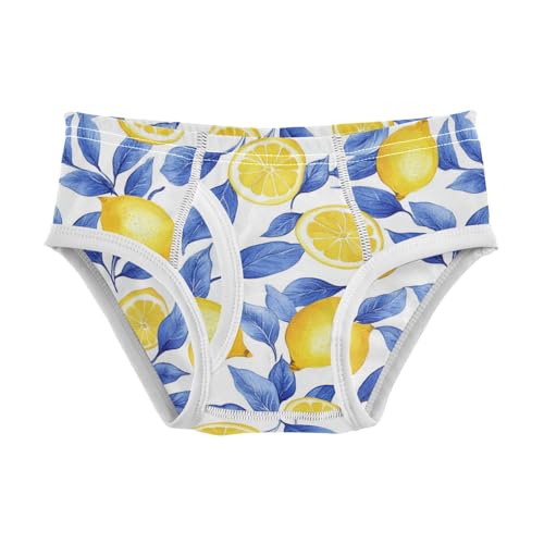 Wusikd Lemon Blue Leaves Boys' Underwear Cotton Yellow Boys Briefs Soft Toddler Underwear 2T