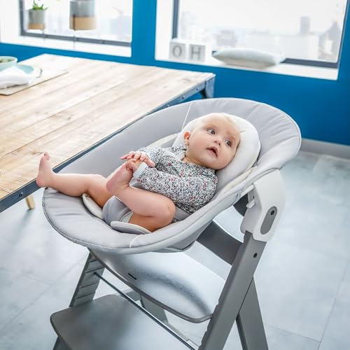 Image of Hauck Alpha Bouncer 2 in 1
