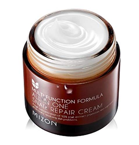 Preisvergleich Produktbild Mizon All in One Snail Repair Cream, 75 g