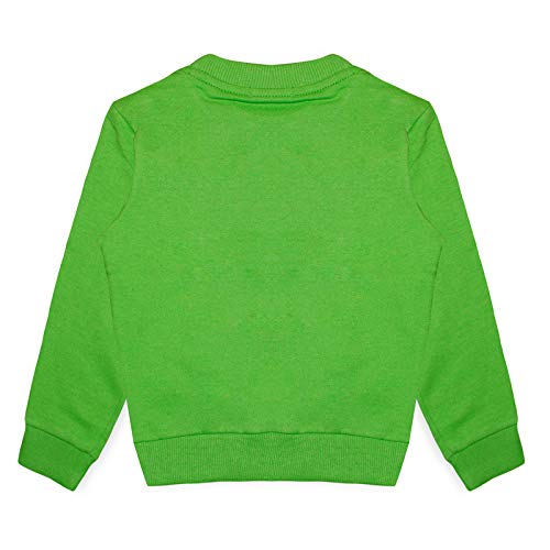 Image of Luke and Lilly Boys Fleece Fullsleeve Printed Sweatshirt