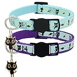 2 Pack Glow in The Dark Cat Collar with Bell Breakaway Safety Cat Puppy Collars with Pendant Purple