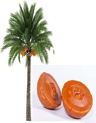 Roni 100% Rural Made Natural Premium Pure Organic Khajur Gur Patali/Khajur Patali Gur/Date Palm Jaggery (500 Gram)