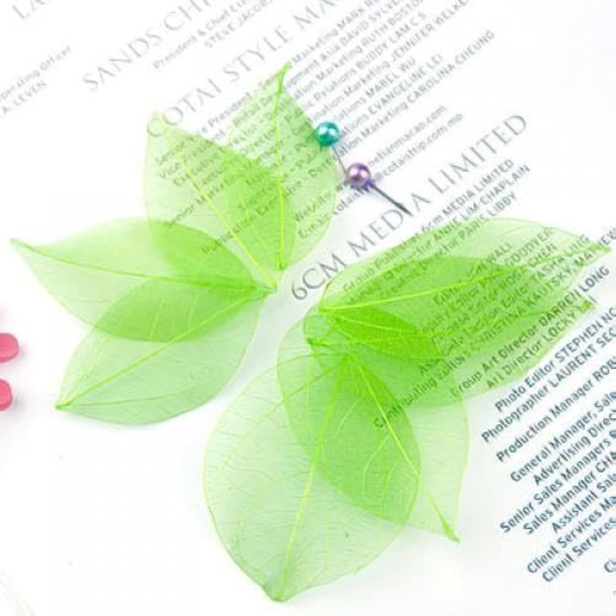 Natural Catbrier Leaf Leaves for Scrapbooking