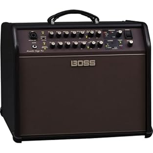 Professional acoustic amplifier with premium sound and features 120–watt bi-amp design with custom-designed 8-inch woofer and dome tweeter Dual channels with discrete analog input electronics and three-band EQ Dedicated guitar channel with Acoustic R...