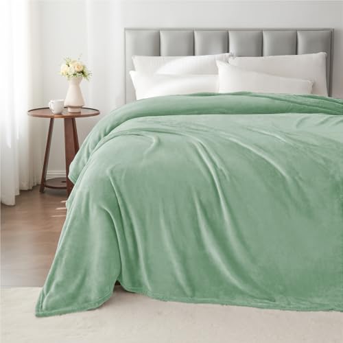 Image of BEDELITE Fleece Blanket King Size Blankets for Bed, Luxury Plush Cozy Fuzzy Blanket 108x90 inches, Super Soft Warm Lightweight Throw Blanket All Seasons Suitable, Mint Green
