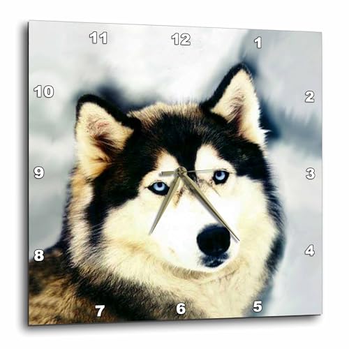 Encuentra reviews de Muebles para cocina Top cinco. 31 3dRose DPP_517_3 Staring Siberian Husky Reloj de Pared, 15 Pulgadas, Multicolor