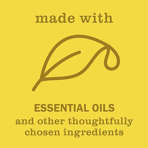 MRS. MEYER'S CLEAN DAY Liquid Hand Soap, Daisy, 12.5 OZ image 7