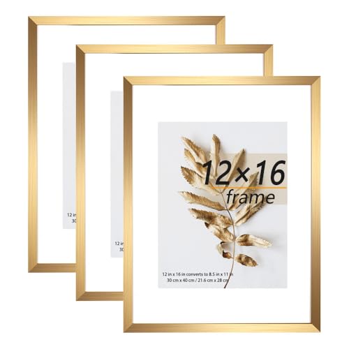 Hogaryo Set of 3 12x16 Picture Frame Gold Frames can Display 8.5x11 Picture with Mat or 12x16 Without Mat on the Wall