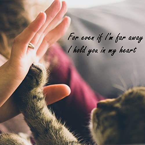 Lcensp Grey Tabby Cat Decor On Blue Moon Stained Glass Window Hangings Cat Memorial Gifts For Cat Lovers, Cat Suncatcher Pet Ornament (Grey Cat On Blue Moon) #TOP5