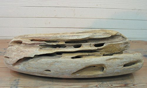 Amazon | 大型変形丸太流木 i311 インテリア店舗ディスプレイ園芸華材