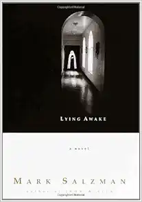 Lying Awake book cover