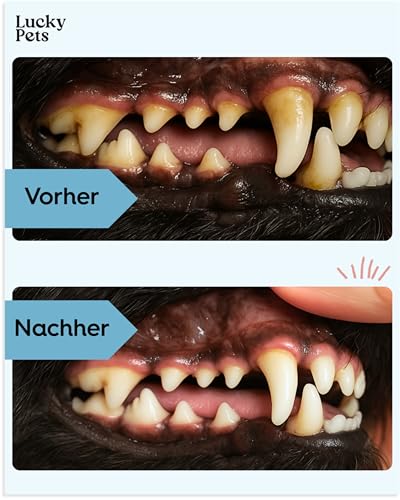 Lucky Pets Zahnpflege Pulver für Hunde I Zahnsteinentferner Hund [250 g Made in Germany] Natürliche Zahnreinigung Hund gegen Mundgeruch & Zahnstein I Zahnpflege Hund I TESTSIEGER