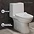 Daxton One Piece Elongated Dual Flush Toilet 1.1/1.6 GPF White