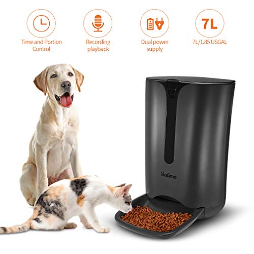 Top 10 Smart Pet Feeders Of 2020 Best Reviews Guide