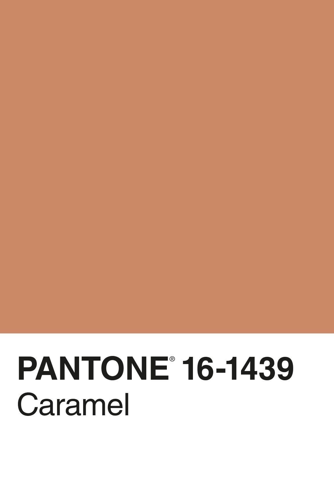 Pantone: 100 Postkarten