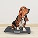 Redmon Digital Dog Scale for Large Pet & Animal with Non-Skid Mat, 225 Lb Capacity, Black - Portable Weighing Scale for Dogs, Puppies, Cats, and Livestock
