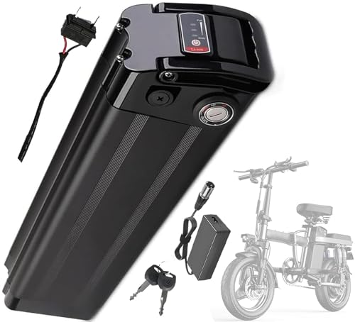 Batteria Litio 36V 8Ah Per Bici Elettrica - Con BMS, Impermeabile, Per Motori 250-500W, Inclusi Caricabatteria E Connettori XT60/DC