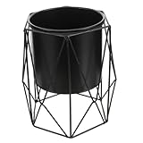 Supvox Eisen Pflanzkübel Mit Ständer Für Sukkulenten Und Büro Kompakt Langlebig Rustikal Und Modern Dekorativer Blumentopf Und Stiftehalter Platzsparend