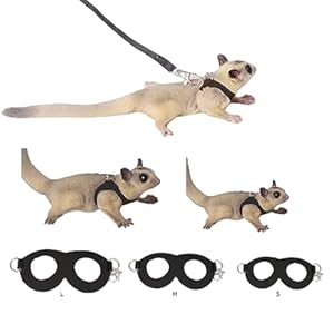 MANON ROSA Sugar Gliders Harness Leash Set – 3 Pcs Training Walking Gear Small Animal Adjustable Traction Ropes Vest for Squirrels Hamsters Rats Gerbils Reptiles Bearded Dragon Lizards Black