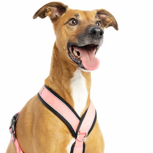 Reflektierendes Hundegeschirr in Y-Form, ideal für Lebreles: Italienischer Windhund, Whippet, Windhund, Podenco - sicher, atmungsaktiv und langlebig, perfekt zum Wandern, Training und Laufen, Rosa, L