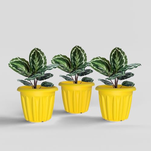 Image of YUCCABE ITALIA SHERA Floot 8 Inch Plastic Flower Pot 3 Piece Set of Round Shape Planter for Home Garden Seedling Planter for pots (Yellow)