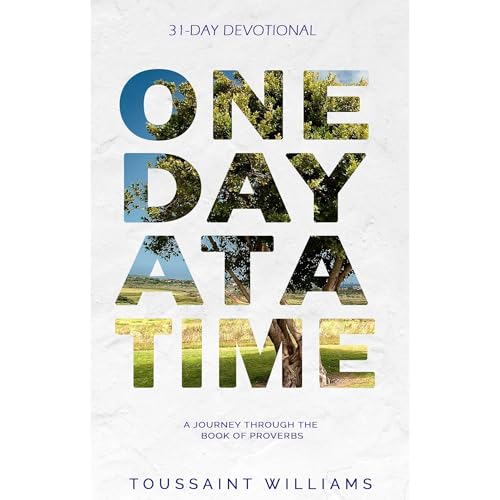 One Day at a Time Audiolibro Por Touissaint Williams arte de portada