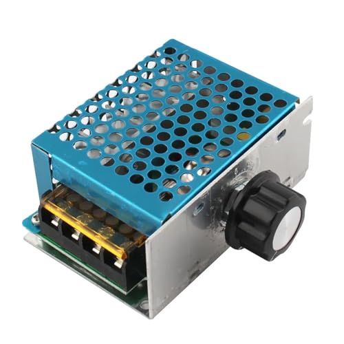 Variateur vitesse moteur qui protège vos outils grâce au régulateur de tension AC 4000W