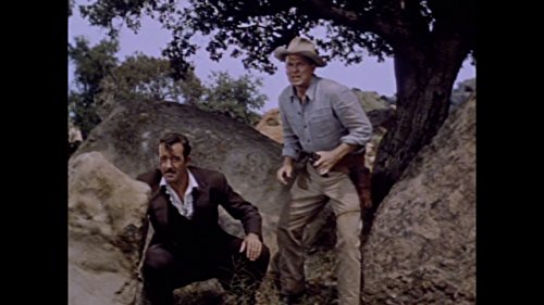 Todesfaust - Tennessee's Partner