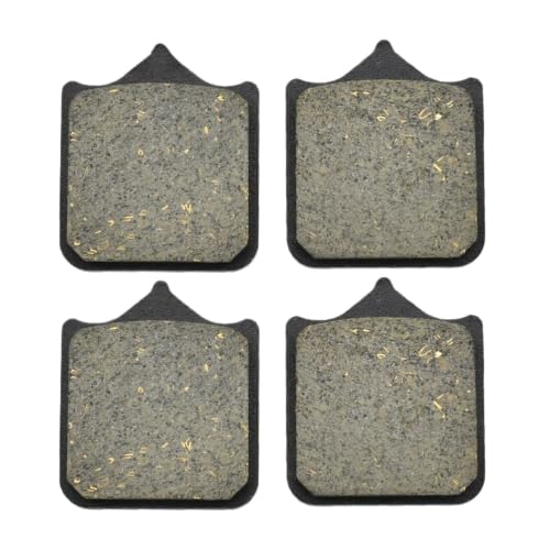 Plaquettes de frein moto pour les sorties du week-end en S1000R Naked et Sport