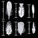 Larryhot White Craft Feathers Bulk - 240pcs 6 Style Mixed Natural Feathers for Wedding Home Party, Dream Catcher Supplies and DIY Crafts (White)