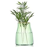 VanEnjoy 7 inch Green Clear Simple Green Glass Flower Vase, Decorative Gilded Rim Vase Home Decor for Indoor Centerpiece