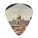 Historical Site Painting Guitar Picks 12 Pack Bass Picks with Organizer Box Guitar Plectrum Includes Thin Medium Heavy Guitar Picks Ukulele Picks for Bass Acoustic Electric Guitars