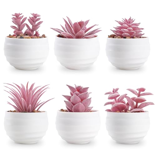 Der Rose Set of 6 Pink Succulents Plants Artificial in Pots Small Fake Plants for Girls Pink Room Decor Office Desk Accessories for Women