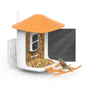 Vogelhaus mit Kamera, SOLIOM BF09 Solar Vogelhaus Camera für Wildvögel Futterstationen, 1080P HD Vogelfutterhaus mit Kamera auf Handy, WLAN Automatische Aufzeichnung, Sofortige Benachrichtigungen