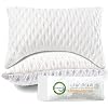 Queen Size 2 Pack