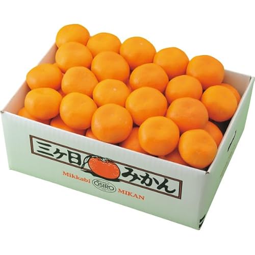 yΕ\z ÉY@O݂iSj y11/27甭Jnz