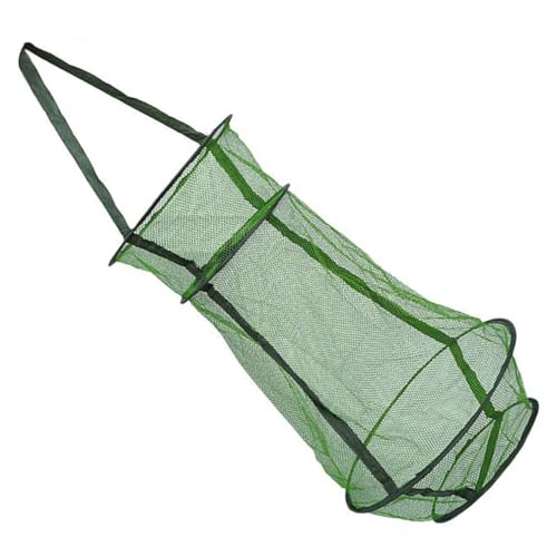 EXQUIMEUBLE ^eʐ܂肽ݎ??? ߂Ԃ hE݌v bV   I Gr uX^[p