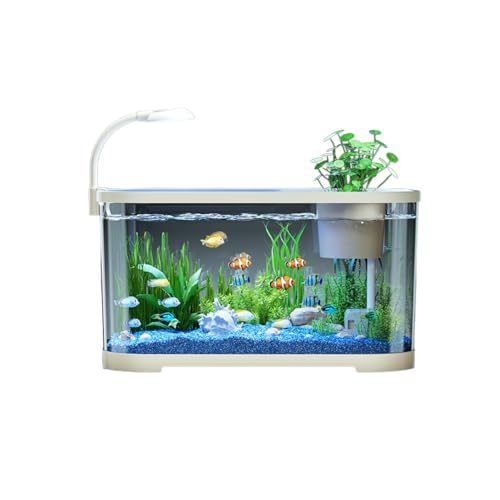 DrivEx 水槽 アクアリウム スターターキット 一体型水槽セット 18点セット 淡水海水用 熱帯魚/メダカ/金魚を育てよう 初心者向け ベタ 亀 水生動物用 組み立て簡単 多機能 オフィス 家庭装飾用 透明 新居祝い 30x20x19cm (ホワイト)