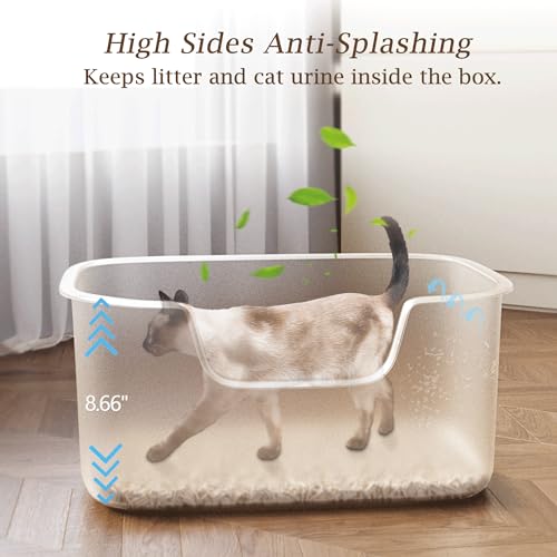 Arenero Grande para Gatos con Laterales Altos Verde miniatura 3