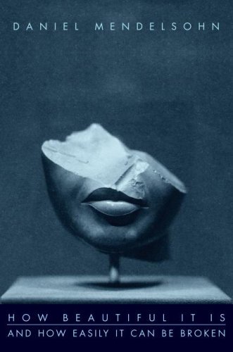 Télécharger How Beautiful It Is And How Easily It Can Be Broken: Essays (English Edition) Gratuit