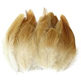 Elles peuvent servir à créer des attrape-rêves, des fleurs en plumes, des ballons, des robes, des costumes et des chapeaux.