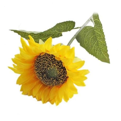 Gediio Ђ܂  lH tFCN t[ V~[V fBXvC z[ ItBX fXNgbv  